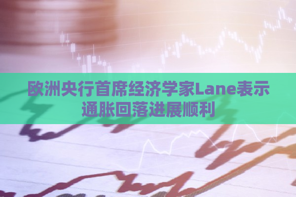 欧洲央行首席经济学家Lane表示通胀回落进展顺利